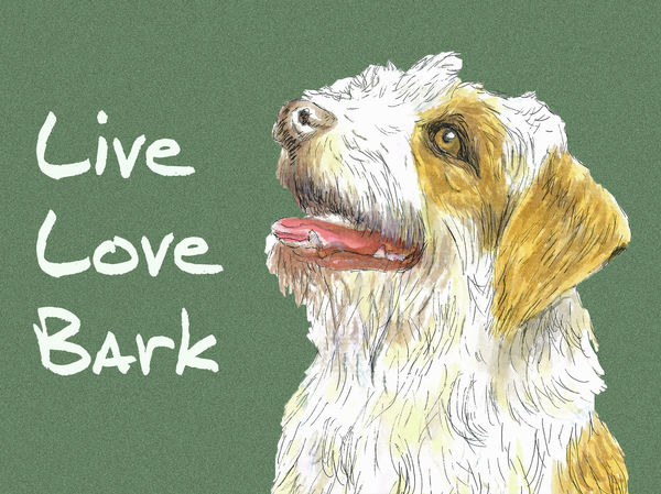 Live, Love, Bark - Blank Card