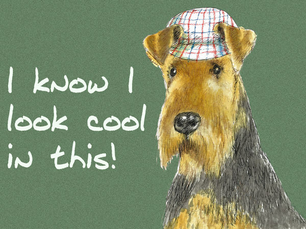 I know I look cool in this - Blank Card