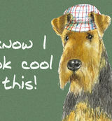 I know I look cool in this - Blank Card