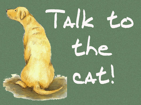 Talk to the cat! - Blank Card