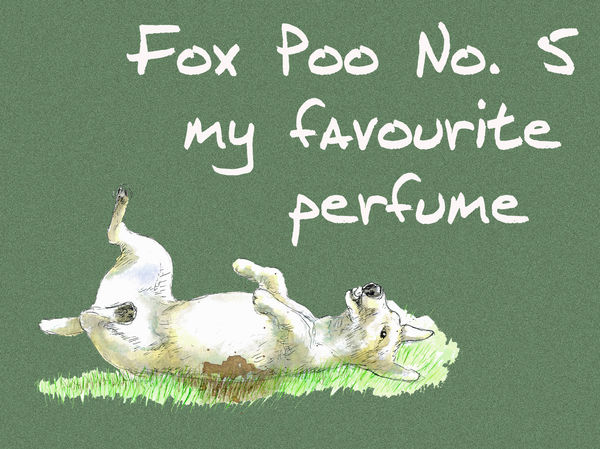 Fox Poo No.5 my favourite perfume - Blank Card