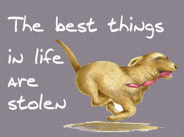 The best things in life are stolen - Blank Card
