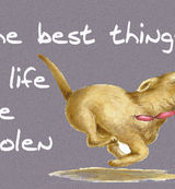 The best things in life are stolen - Blank Card