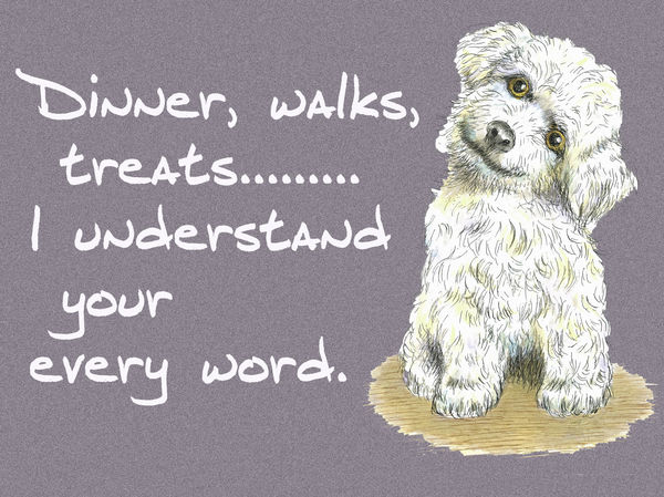 Dinner, walks, treats...I understand your evry word - Blank Card