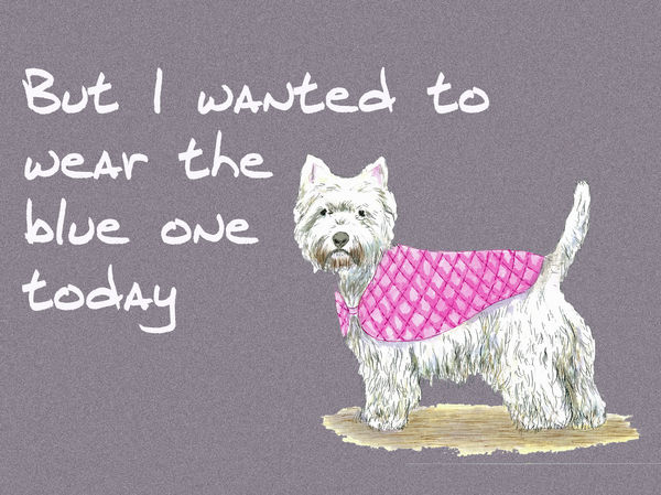 But I wanted to wear the blue one today - Blank Card