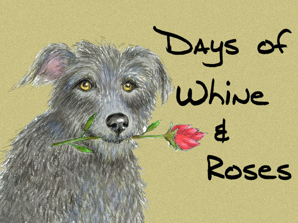 Days of Whine & Roses - Blank Card