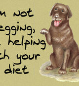 I'm not begging, I'm helping with your diet - Blank Card