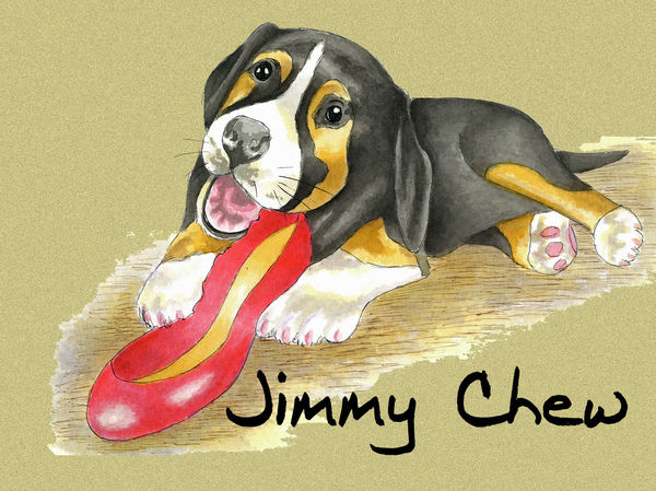 Jimmy Chew - Blank Card