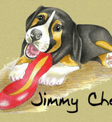 Jimmy Chew - Blank Card