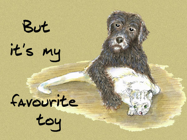 But it's my favourite toy - Blank Card