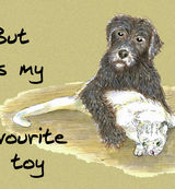 But it's my favourite toy - Blank Card