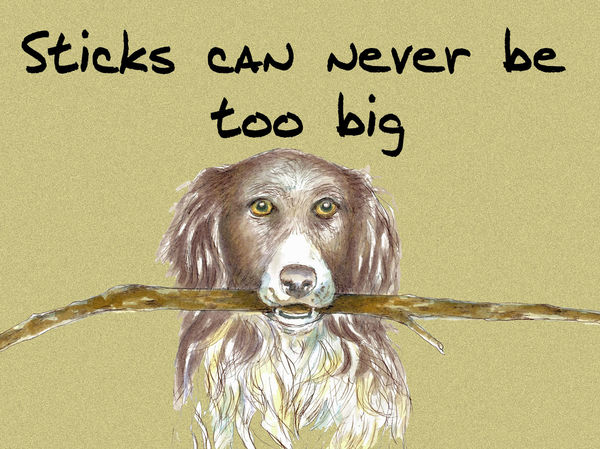 Sticks can never be too big - Blank Card