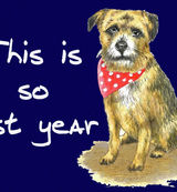 This is so last year - Blank Card