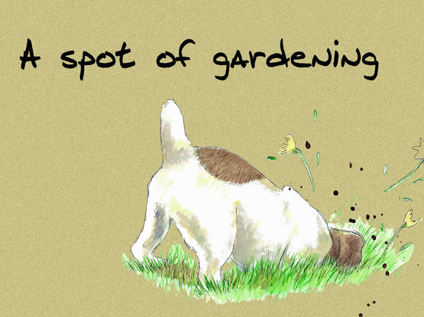 A spot of gardening - Blank Card