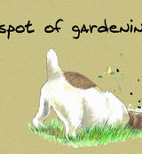 A spot of gardening - Blank Card