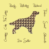 Irish Setter Breed Traits Print