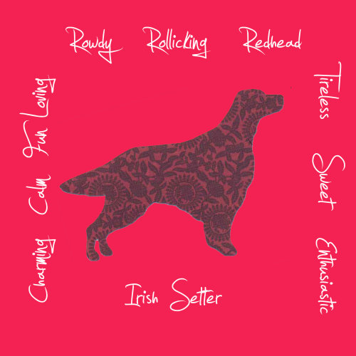 Irish Setter Breed Traits Print