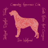 Irish Wolfhound Dog Breed Traits Print