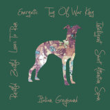 Italian Greyhound Dog Breed Traits Print