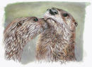 Otters - Wildlife Print by Clare Thompson
