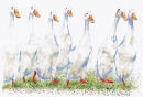 Ducks - Wildlife Print by Clare Thompson