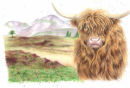 "Beefy" - Wildlife Print by Clare Thompson