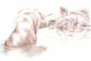 "The Trotters" - Wildlife Print by Clare Thompson