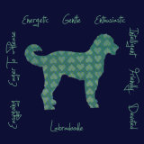 Labradoodle Dog Breed Traits Print