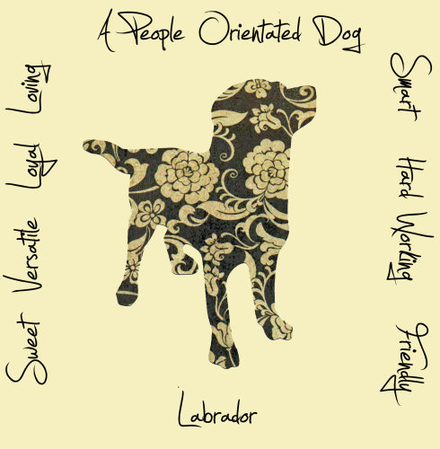 Labrador Dog Breed Traits Print