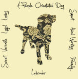 Labrador Dog Breed Traits Print