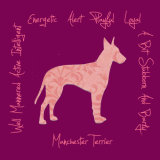 Manchester Terrier Dog Breed Traits Print
