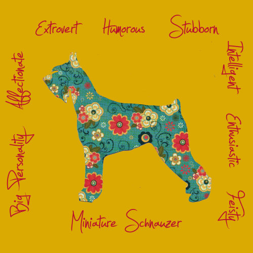 Miniature Schnauzer Dog Breed Traits Print