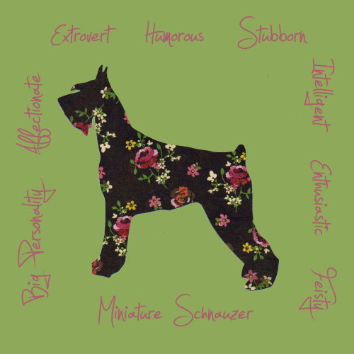 Miniature Schnauzer Dog Breed Traits Print
