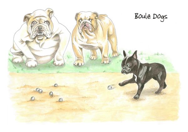 Boule Dogs - Blank Card