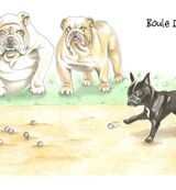 Boule Dogs - Blank Card