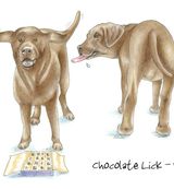 Chocolate Lick-yours - Blank Card