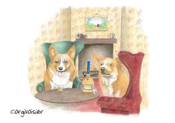 Corgivoisier - Blank Card