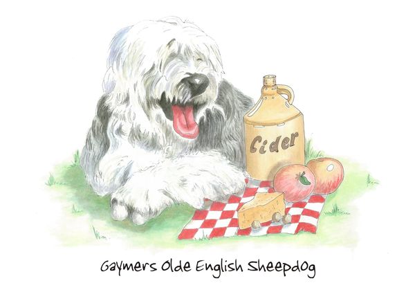 Gaymers Olde English Sheepdog - Blank Card
