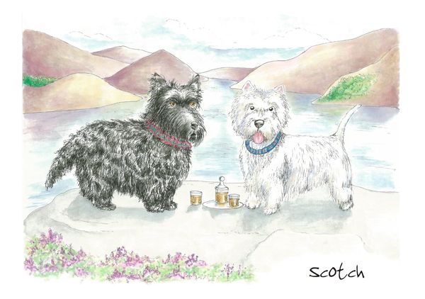 Scotch - Blank Card