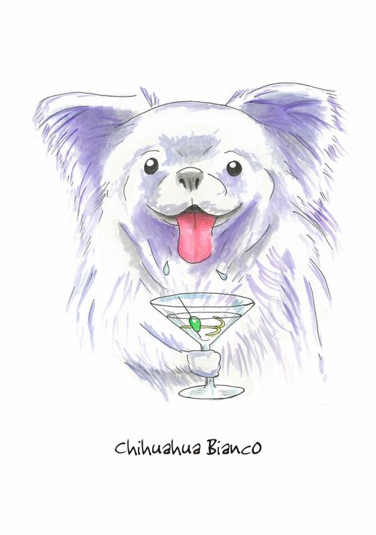 Chihuahua Bianco - Blank Card