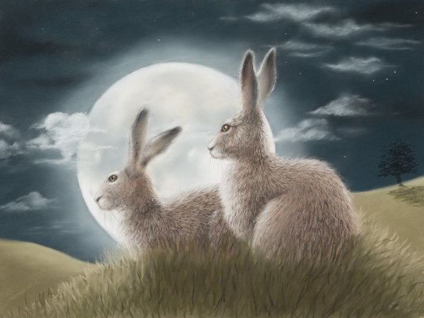 Moongazers - Wildlife Print by Clare Thompson