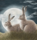 Moongazers - Wildlife Print by Clare Thompson