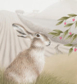 Morning Mist - Wildlife Print by Clare Thompson