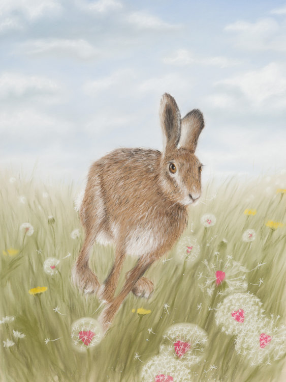 Tempus Fugit - Wildlife Print by Clare Thompson