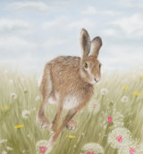 Tempus Fugit - Wildlife Print by Clare Thompson