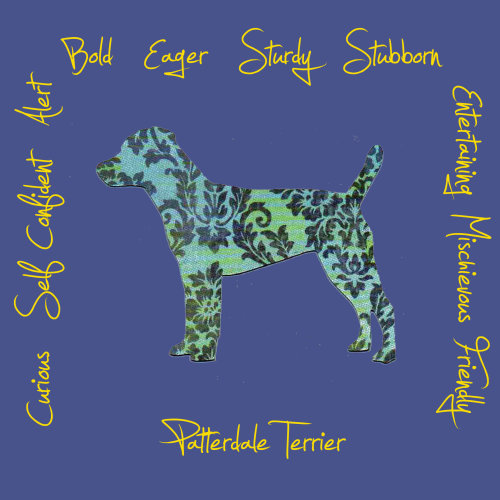 Patterdale Terrier Dog Breed Traits Print
