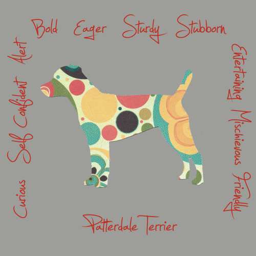 Patterdale Terrier Dog Breed Traits Print