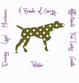 Pointer Dog Breed Traits Print