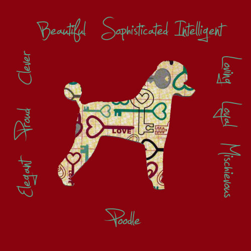 Poodle Dog Breed Traits Print
