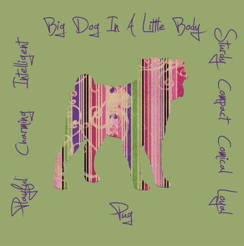 Pug Dog Breed Traits Print